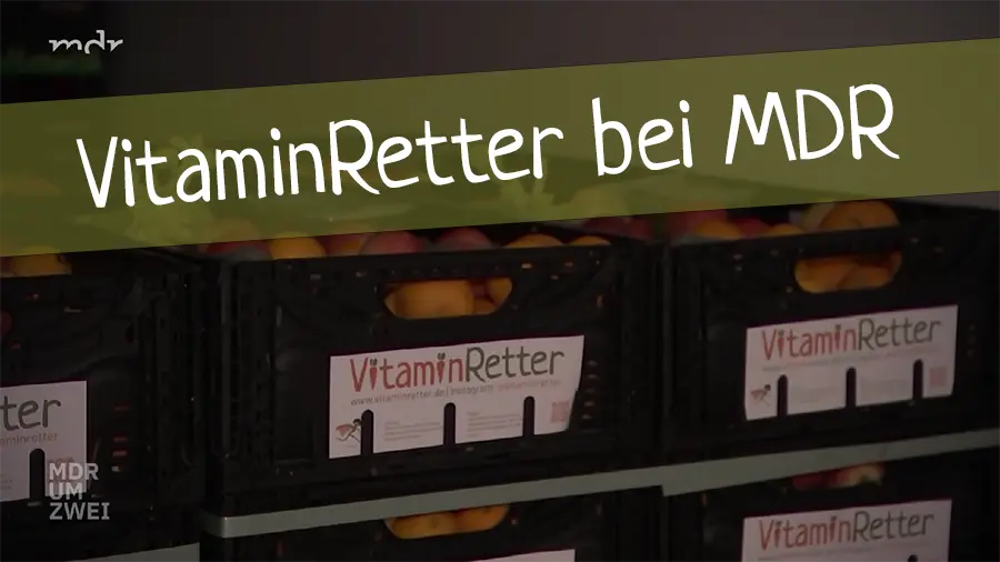 Bild der VitaminRetterBoxen im LKW.